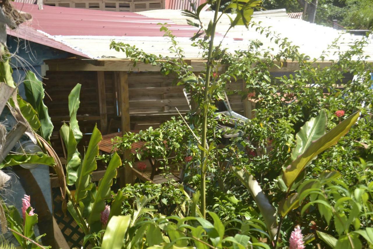 Villa An Eol Caraibes à Trois-Rivières Extérieur photo