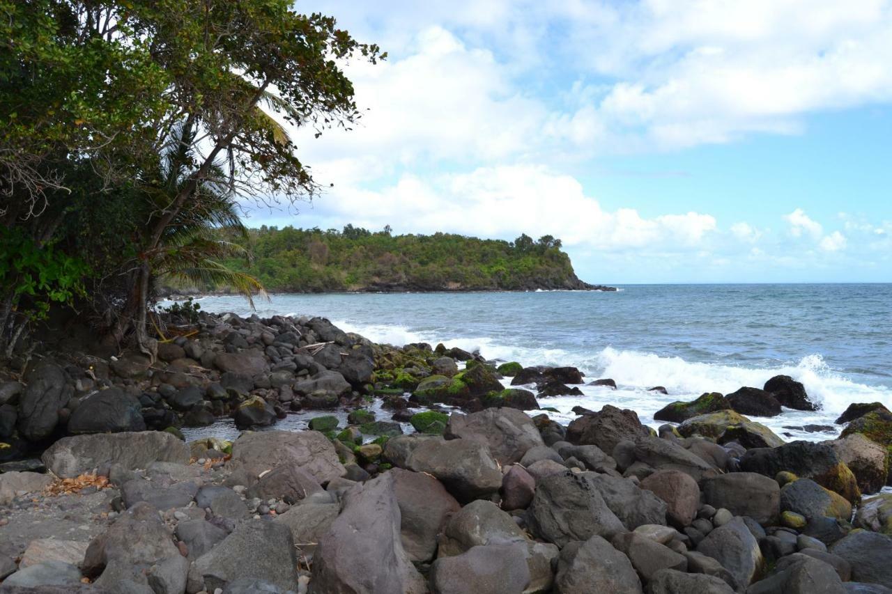 Villa An Eol Caraibes à Trois-Rivières Extérieur photo
